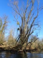 Groschenwasser, Februar 2026